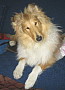 EVITA Actis